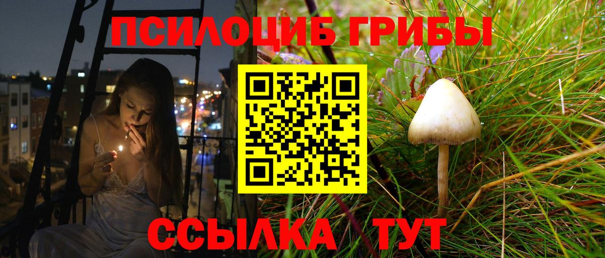 Пушкино  Галлюциногенные грибы Psilocybe  Вход с VPN 
