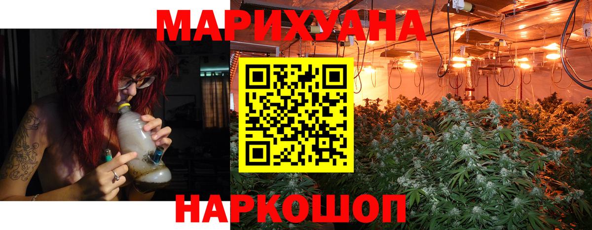 Каннабис ГИДРОПОН Пушкино